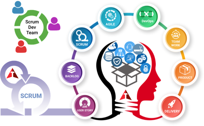 Course Overview Infographic for TEXAVI Course on Scrum Development Team